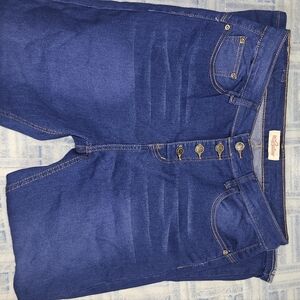 Stylish Blue Women Jeans